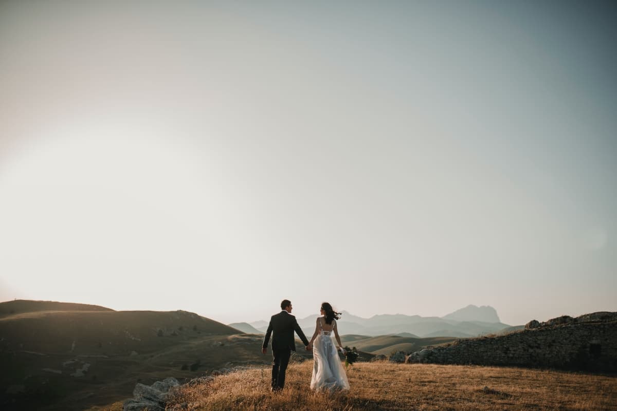 Optimized-foto-pettine-IfjHaIoAoqE-unsplash